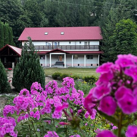 Vacation Villa Sucevita Luaran gambar