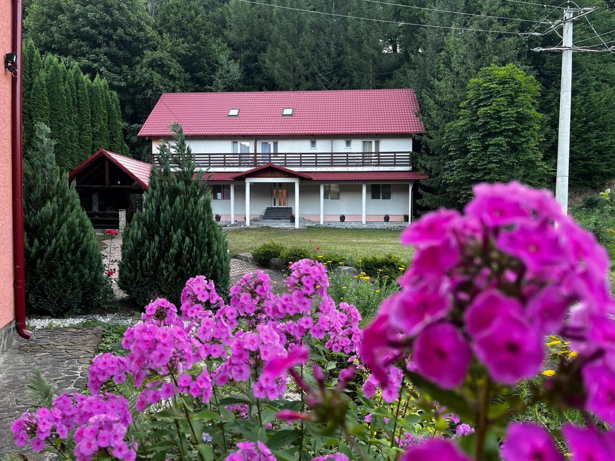 Vacation Villa Sucevita Luaran gambar